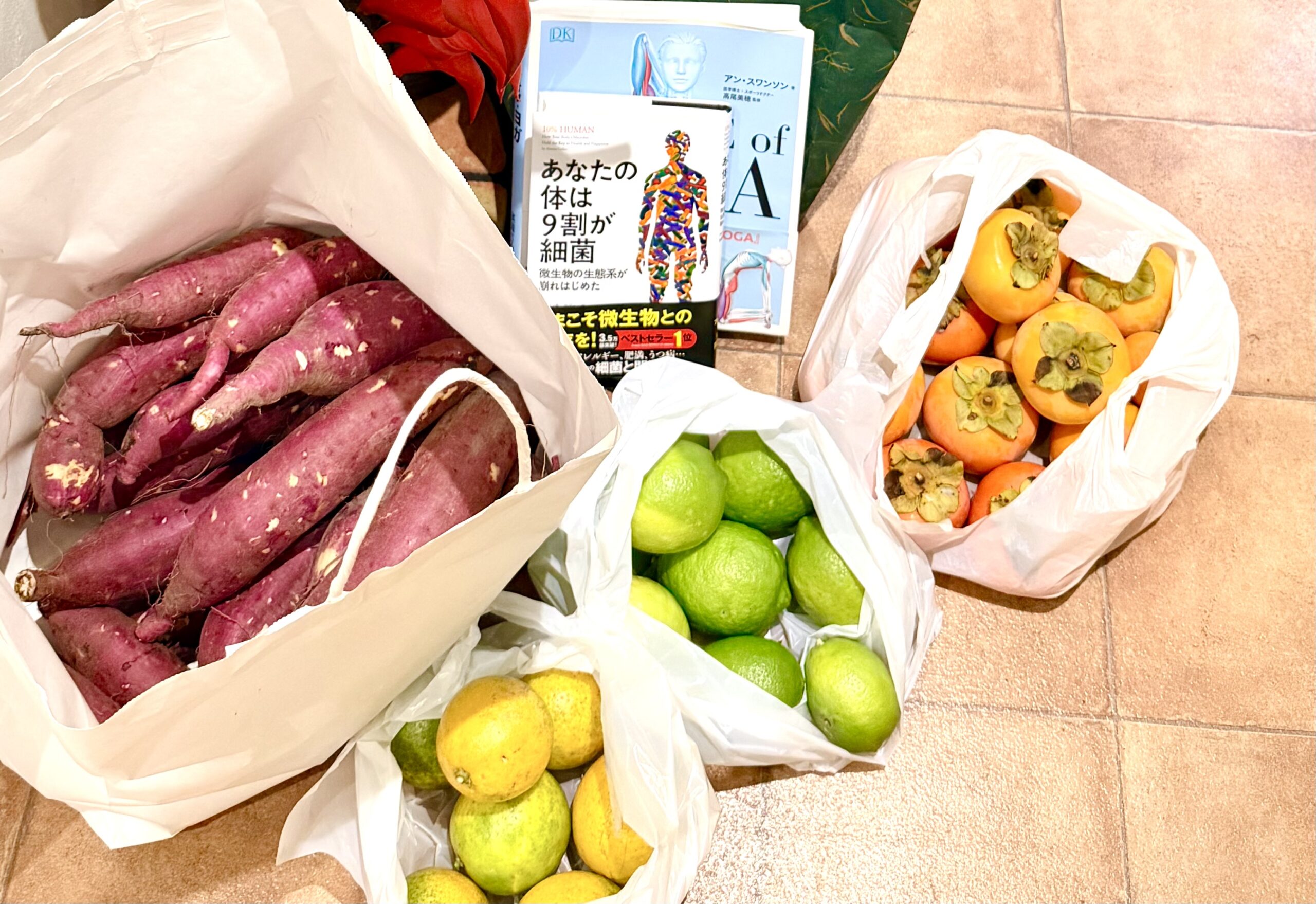 奈良市さくら整体院