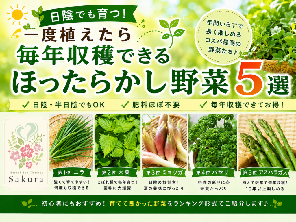 奈良市さくらハーブ家庭ベランダ菜園