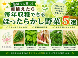 奈良市さくらハーブ家庭ベランダ菜園