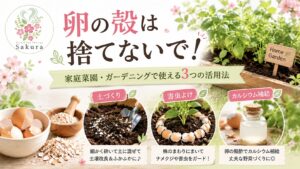 奈良市さくらハーブ