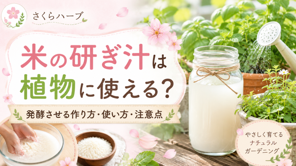 米の研ぎ汁を植物に使えるかを解説する、花とガーデニングの情報バナー。