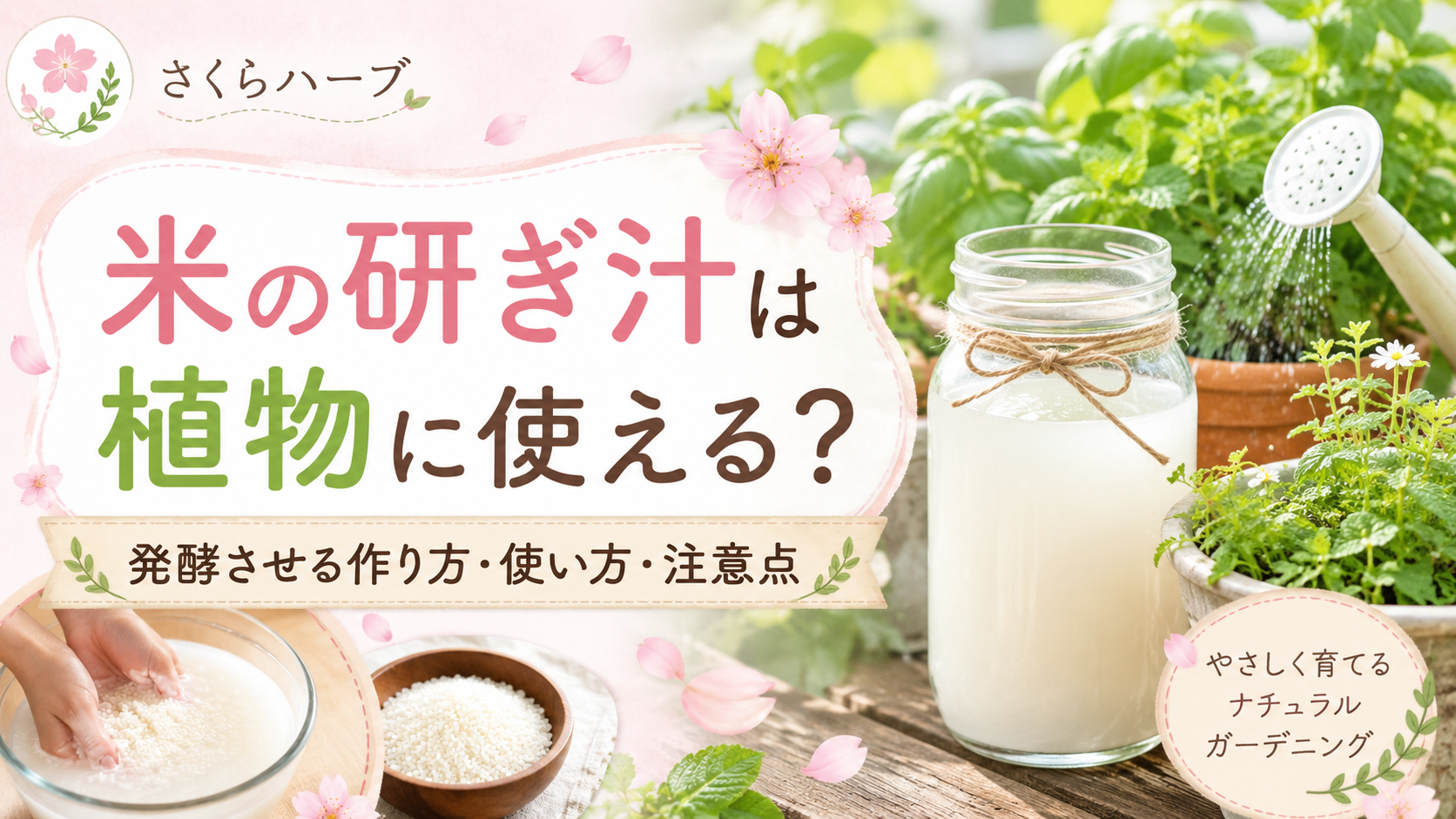 米の研ぎ汁を植物に使えるかを解説する、花とガーデニングの情報バナー。